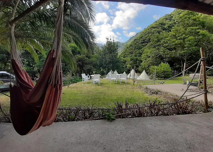 Nature Retreat - Laurel Forest