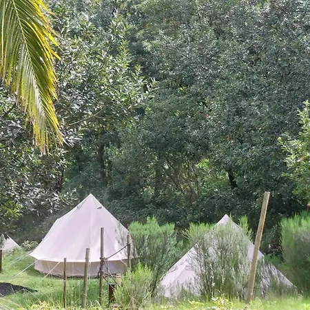 Nature Retreat - Laurel Forest Seixal  Extérieur photo