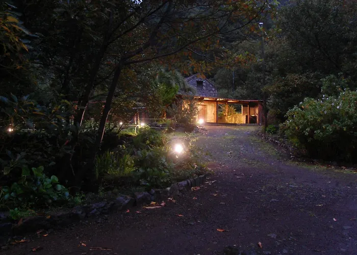 Nature Retreat - Laurel Forest