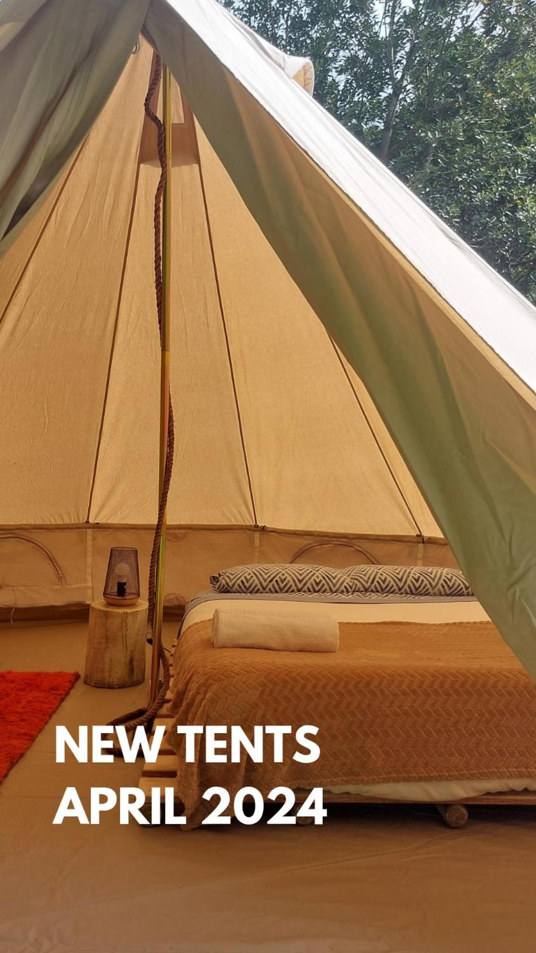 Nature Retreat - Laurel Forest Tente de luxe *