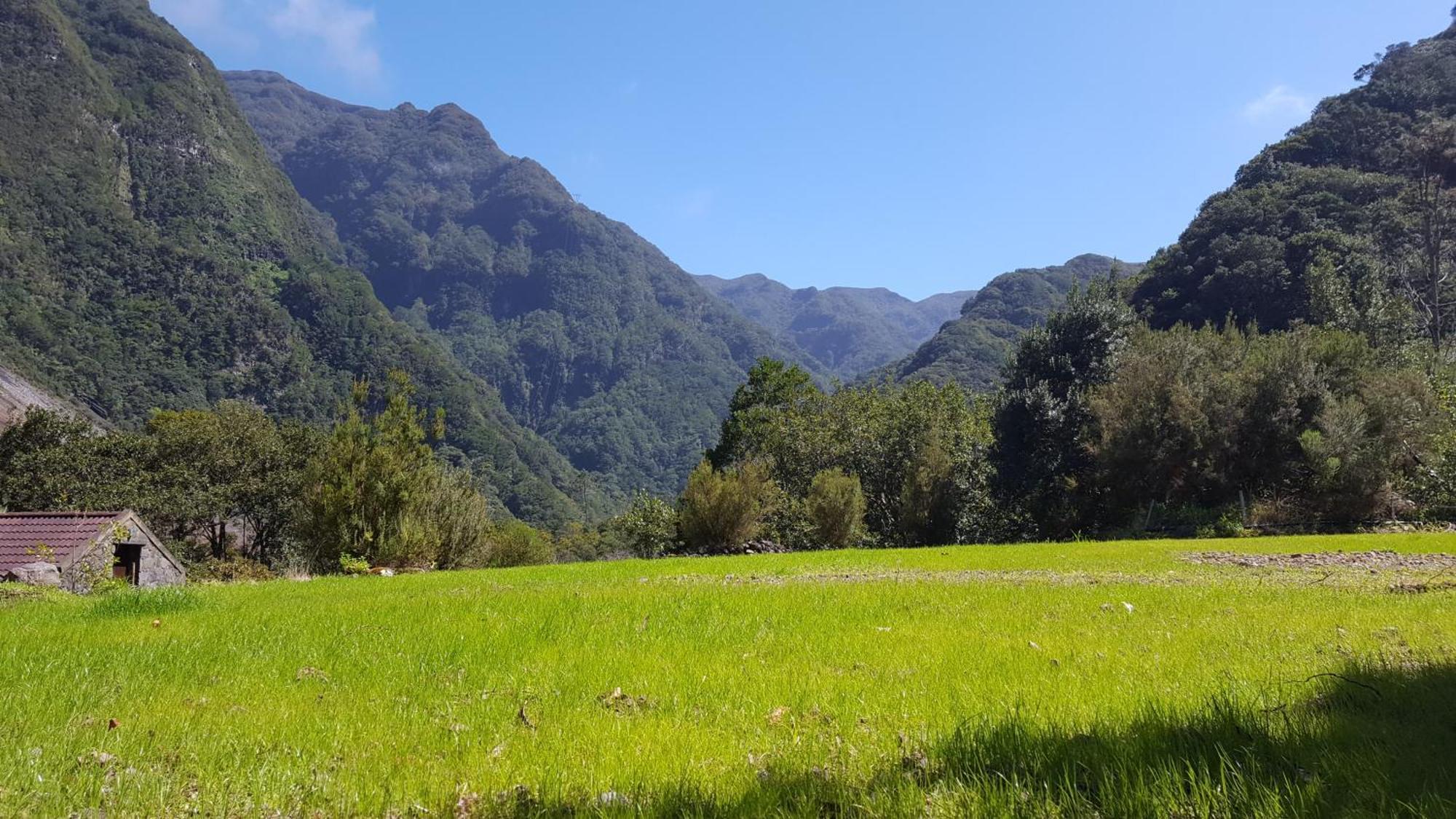 Nature Retreat - Laurel Forest Luxuszelt Seixal (Madeira)