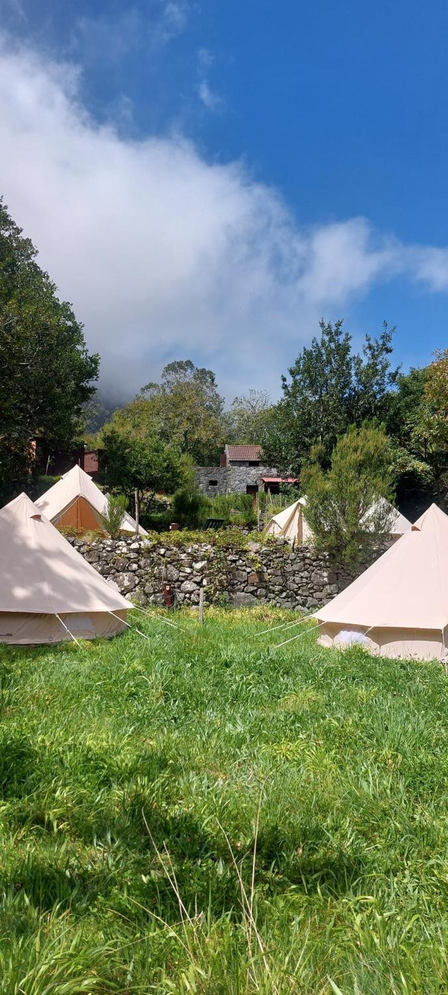 Tente de luxe Nature Retreat - Laurel Forest Seixal (Madeira)