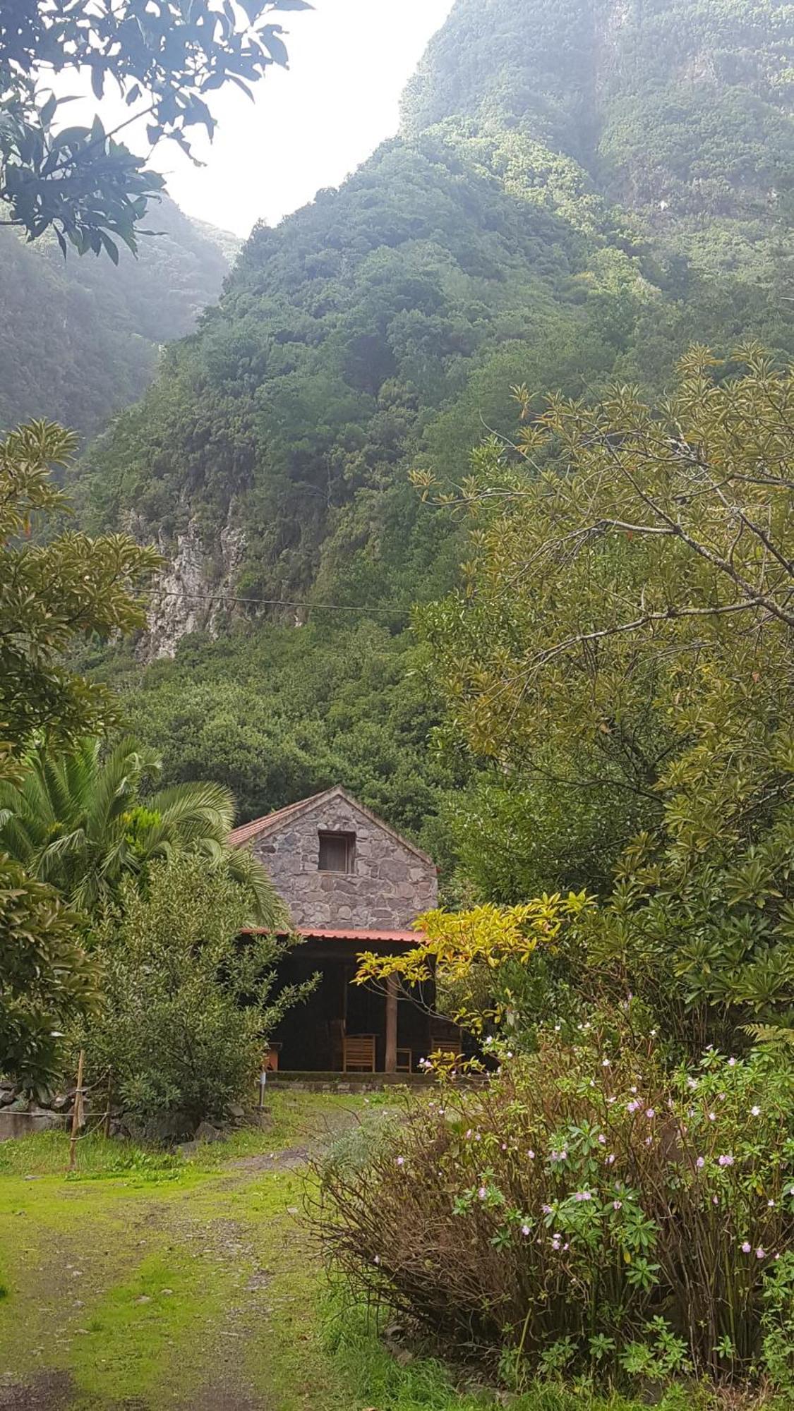 Luxuszelt Nature Retreat - Laurel Forest