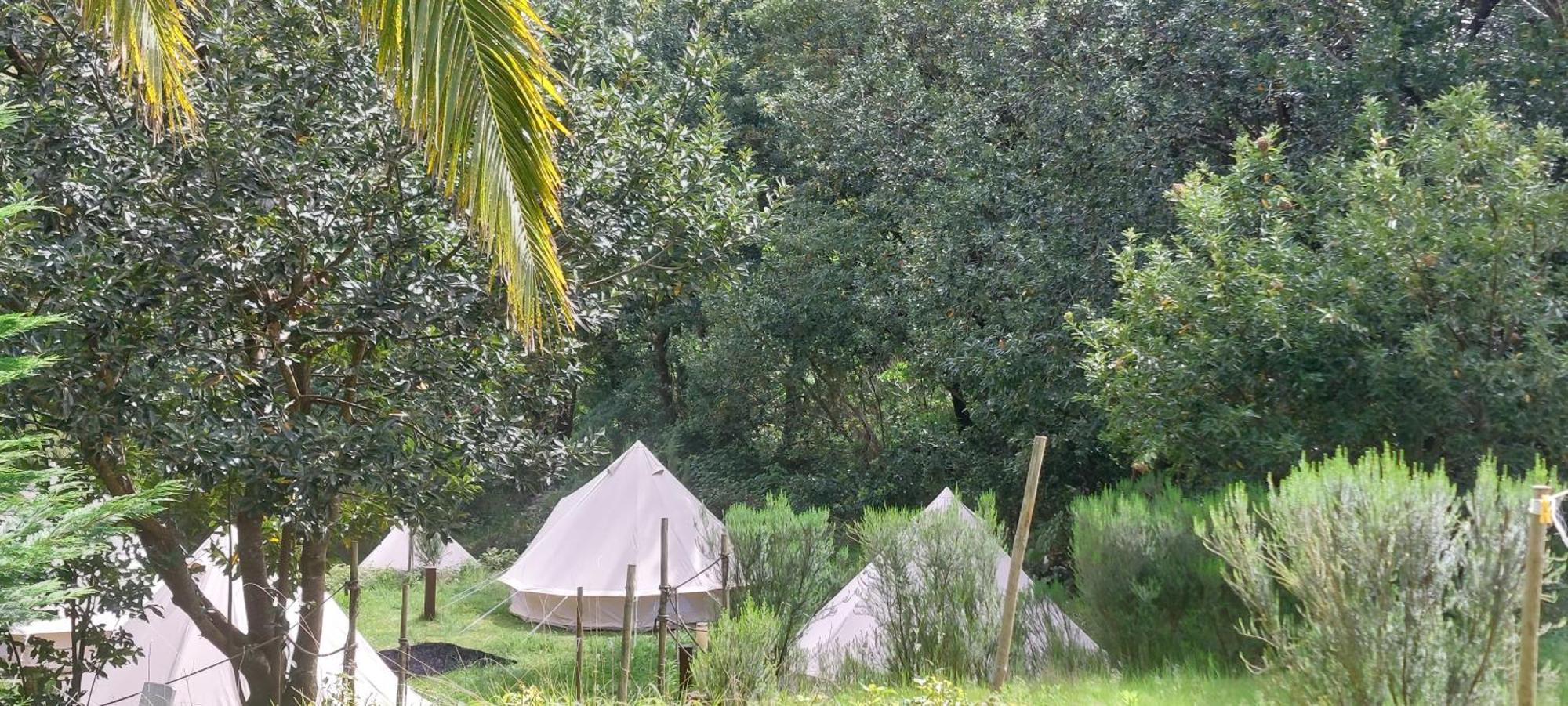 Tente de luxe Nature Retreat - Laurel Forest *