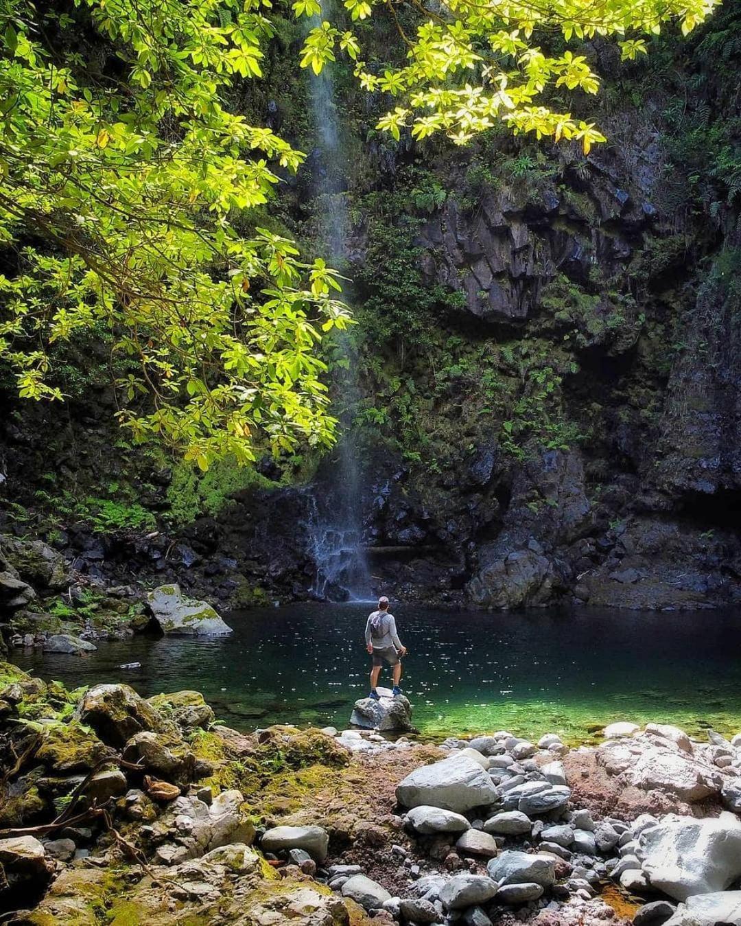 Nature Retreat - Laurel Forest Tente de luxe *