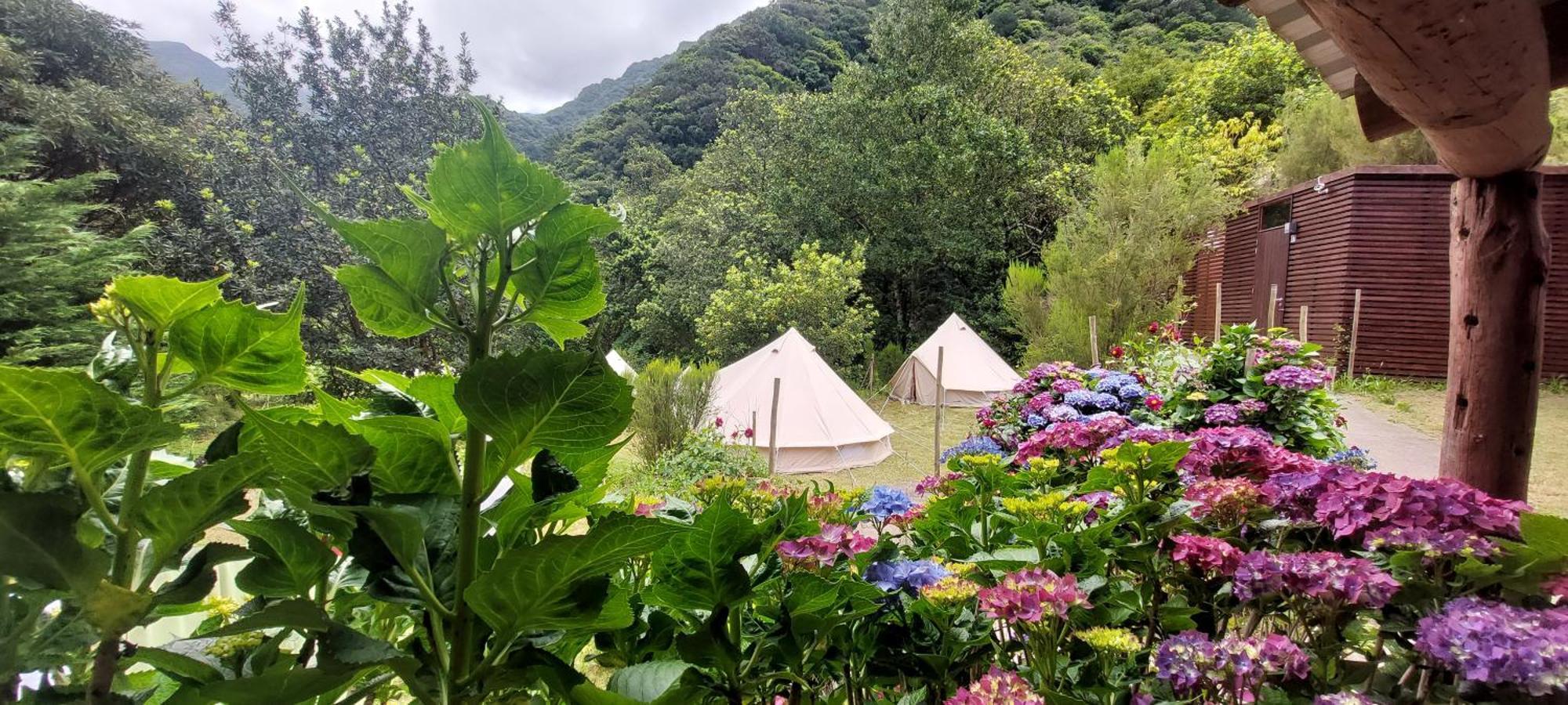 Nature Retreat - Laurel Forest Tente de luxe